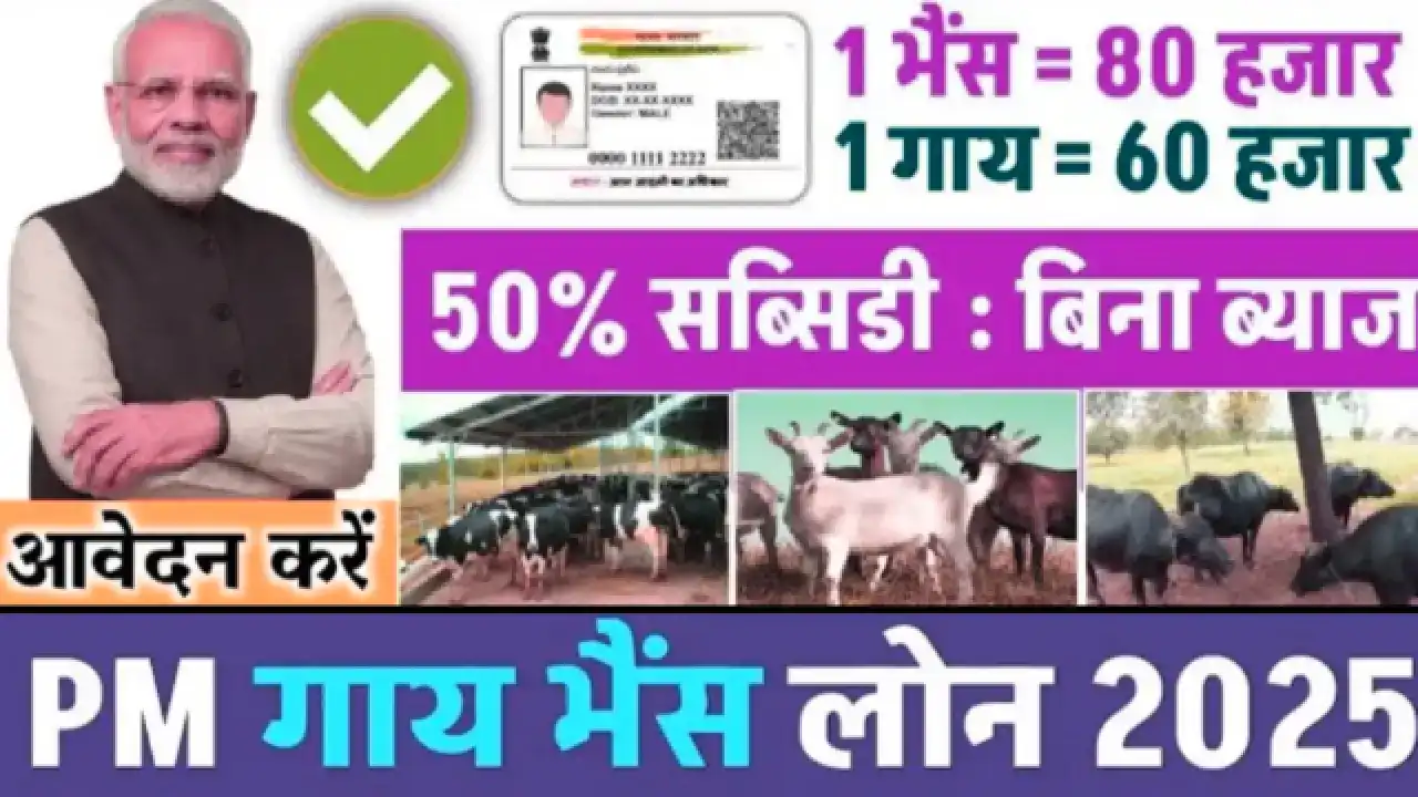 Pashupalan Loan Yojana 2025 | गाय भैंस लोन कैसे लें | Animal Husbandry Loan Full Guide